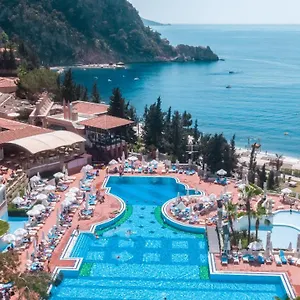 book here